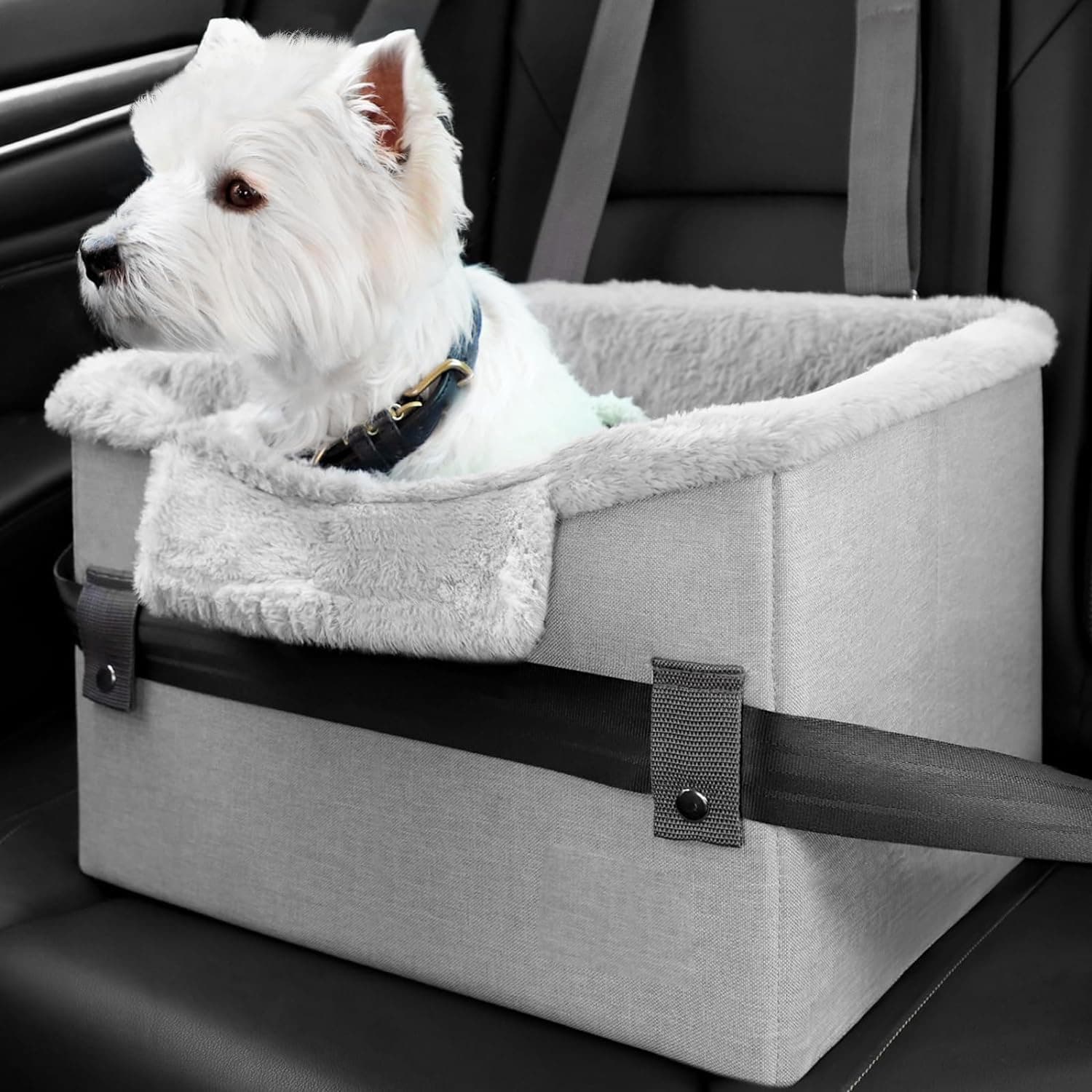 Collapsible Pet Booster Seat